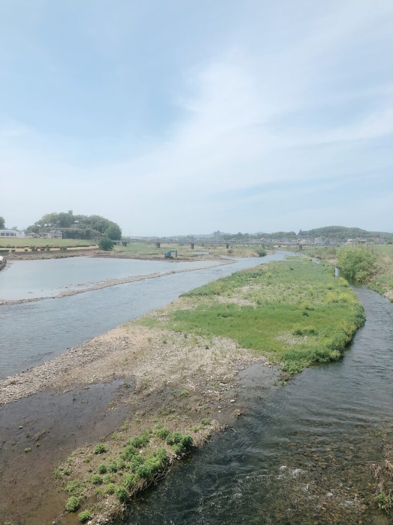 中橋からの渡良瀬橋