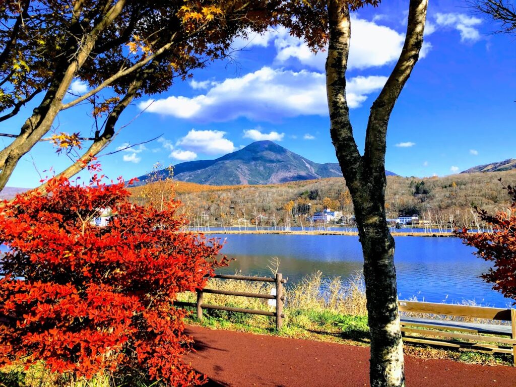 2019目11月9日
白樺湖から蓼科山を撮影