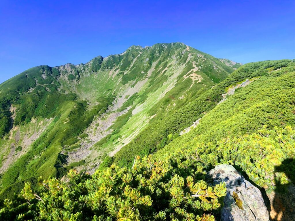 2023年7月24日
小仙丈ケ岳から仙丈ケ岳を撮影