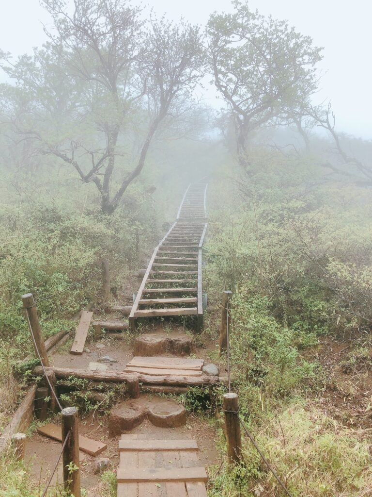 白い景色が幻想的