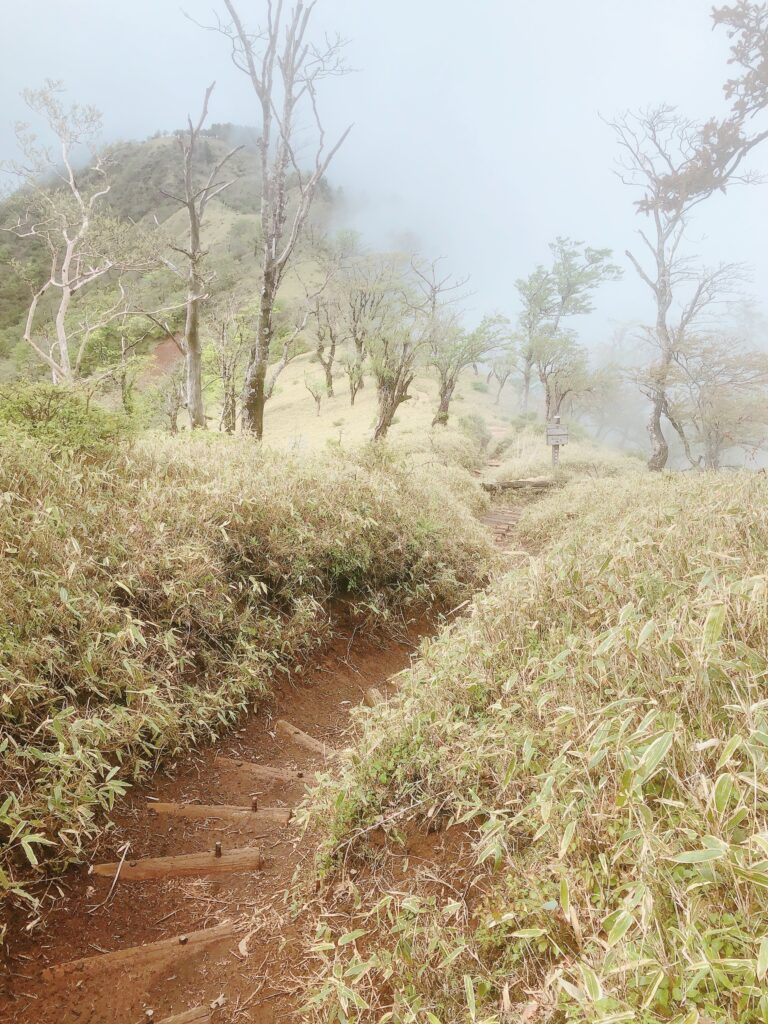 気持ちいい縦走路