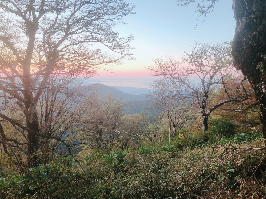 翌朝４時４０分 空が赤くなってます