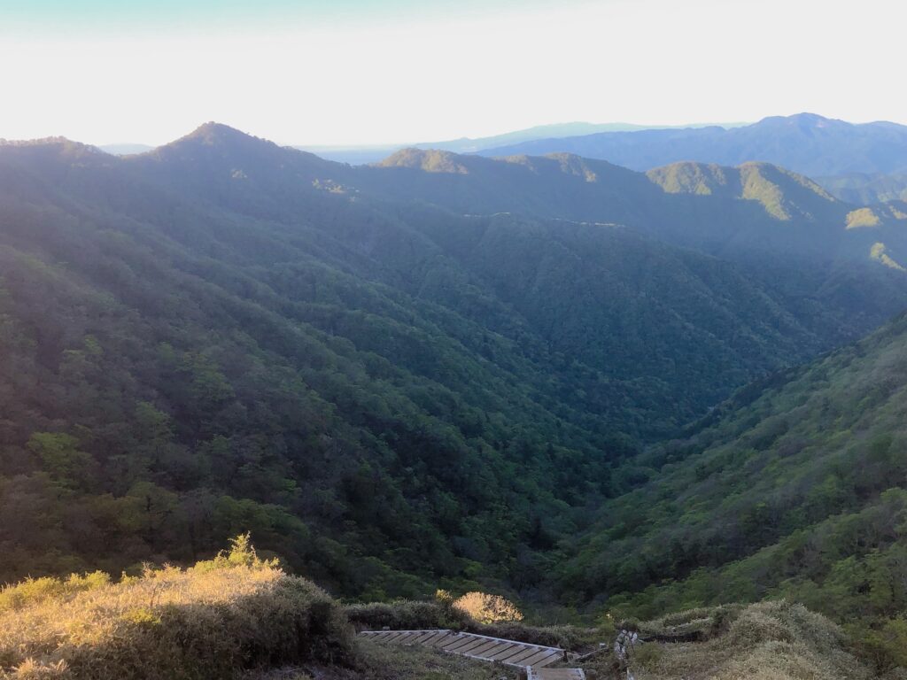 振り返ると昨日登った塔ノ岳が見えます