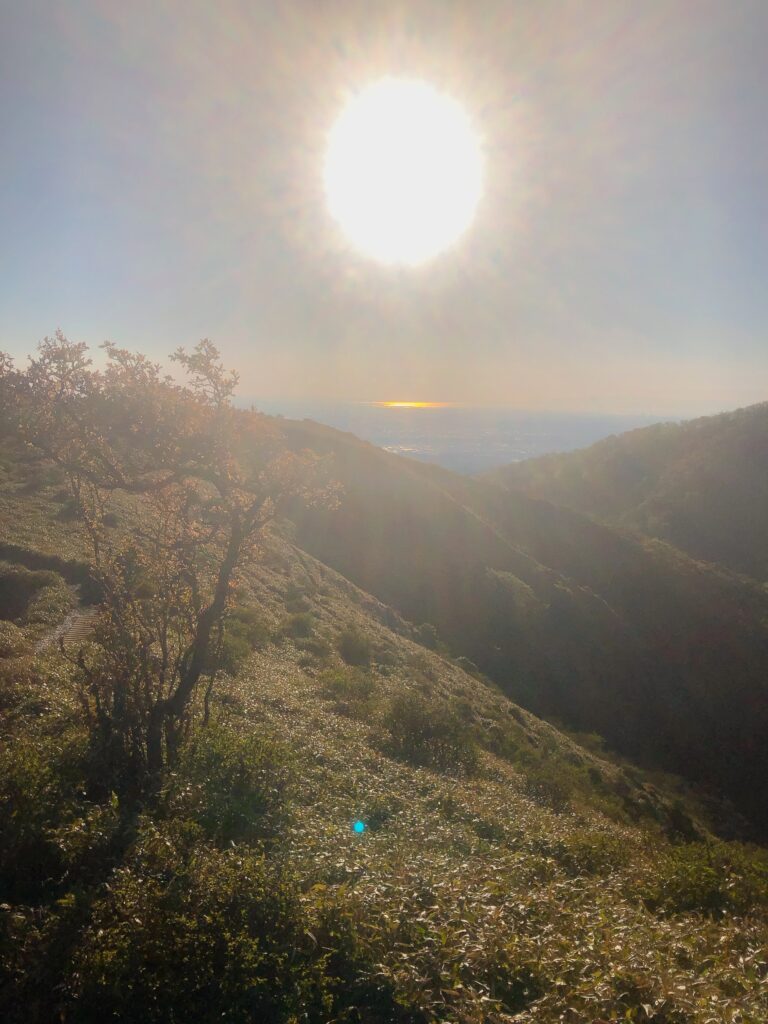 湖に太陽が映っていますね