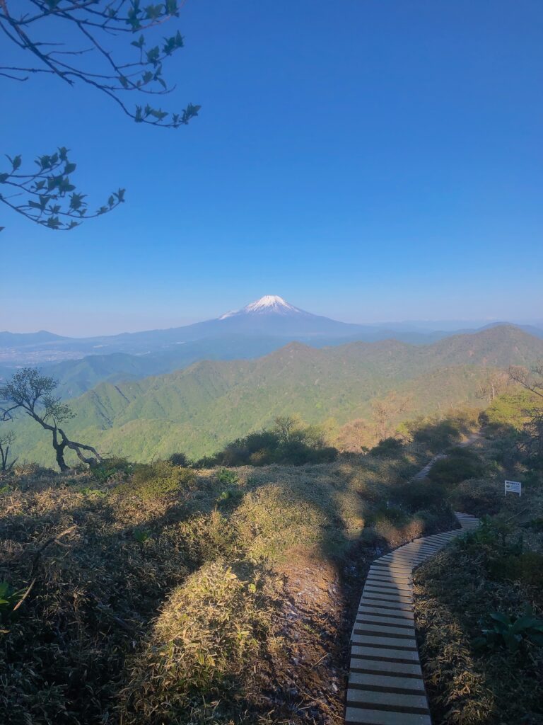 富士山を見ながら稜線を歩くのが最高です