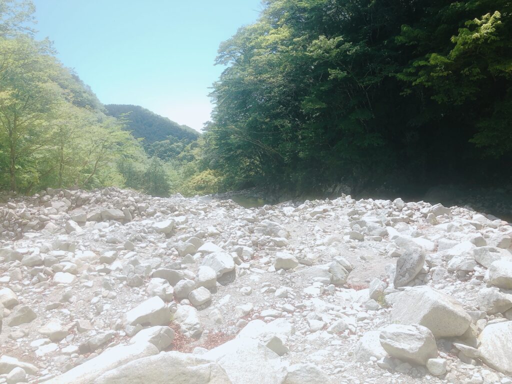 沢まで下山してきました