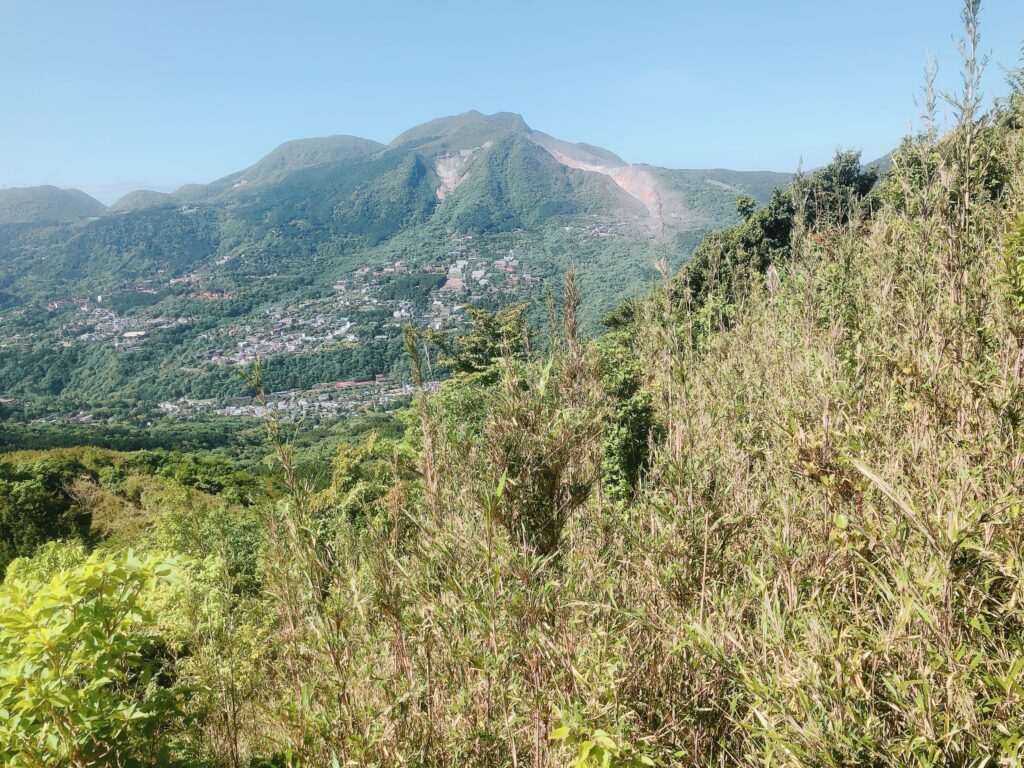 樹林帯を越えると箱根山が綺麗に見えます