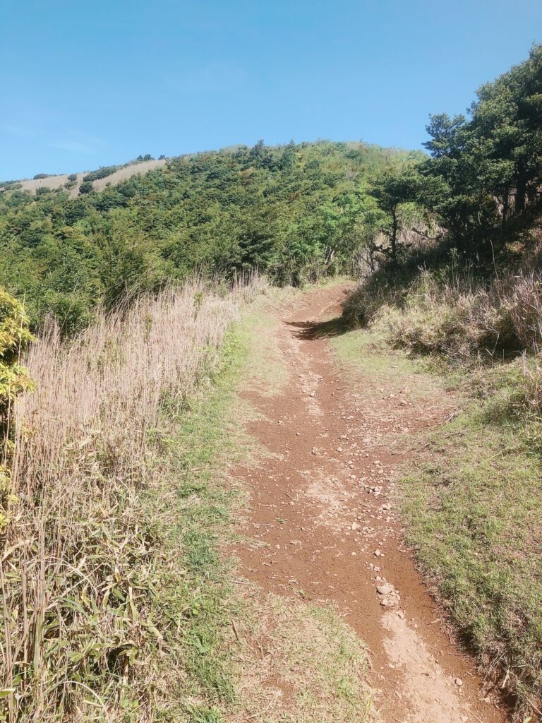 明神ヶ岳が見えました