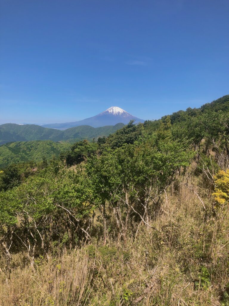 ドーンと目の前に富士山が登場します