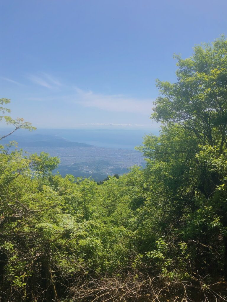 相模湾が見渡せます