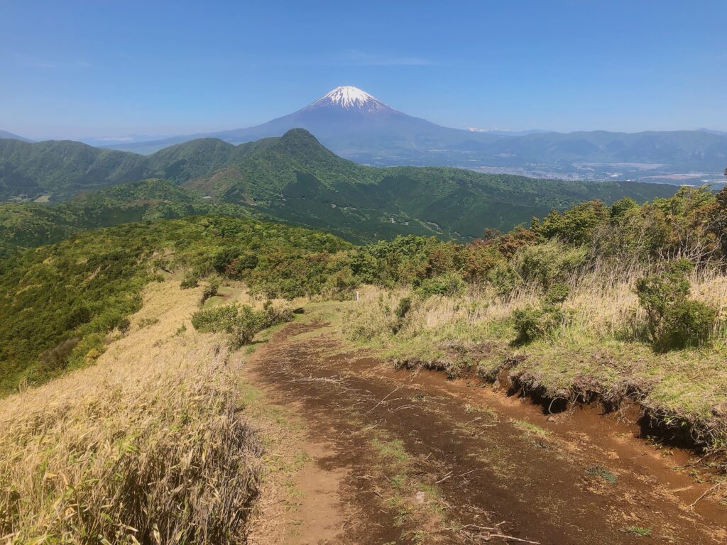 素晴らしい稜線です