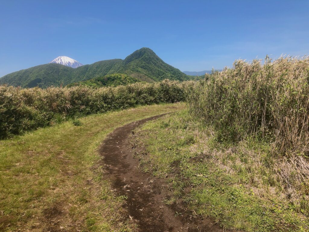 金時山の近くまで歩いてきました