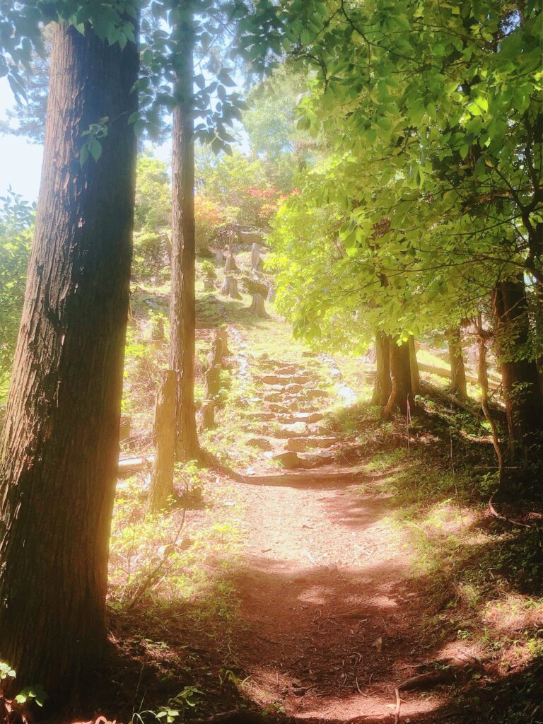 日の出山の山頂まであと少し