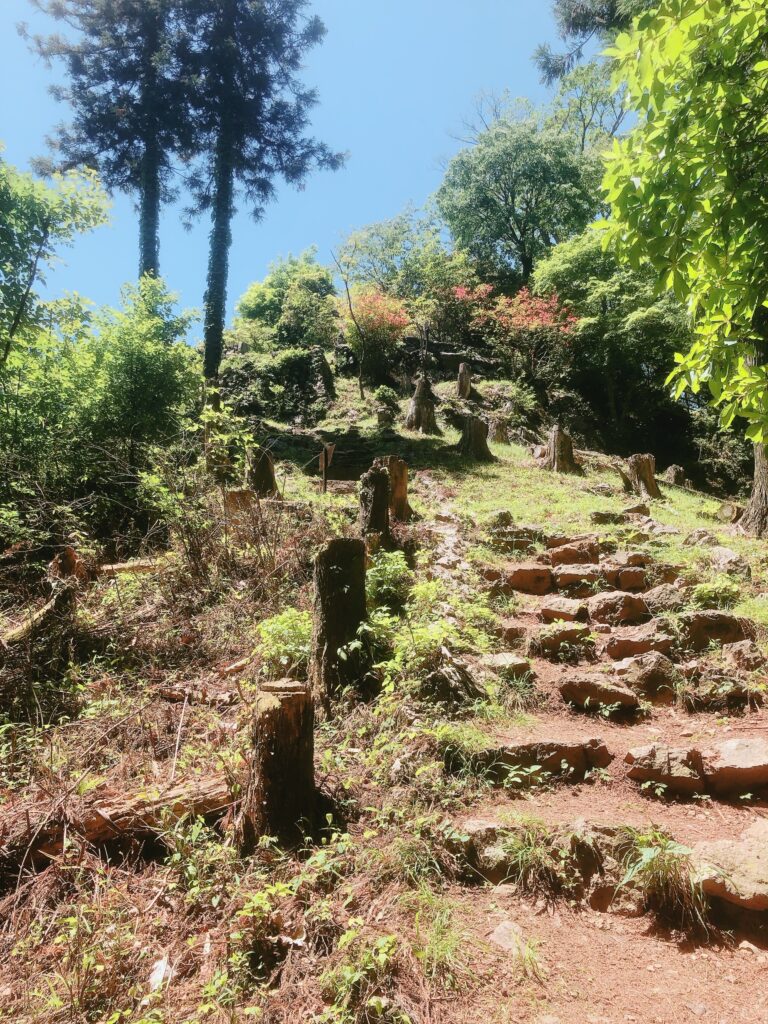 山頂が見えました