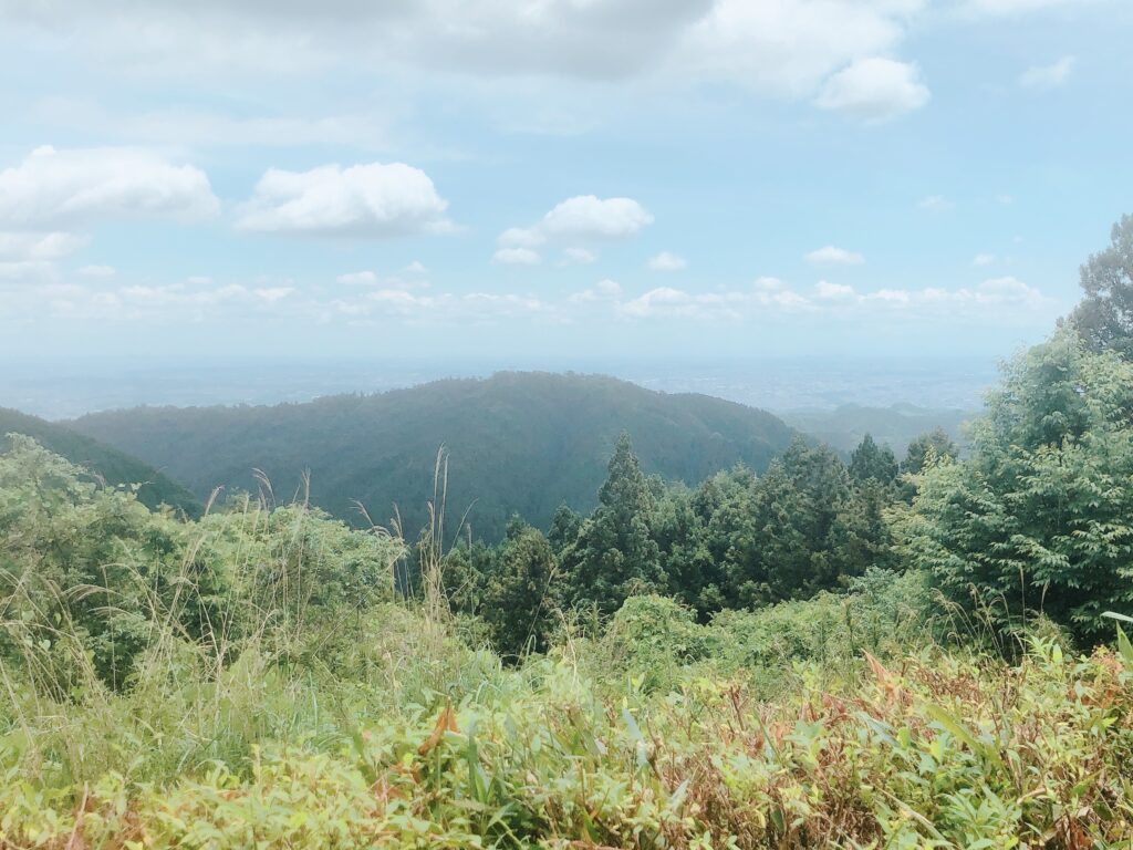 山頂からの風景