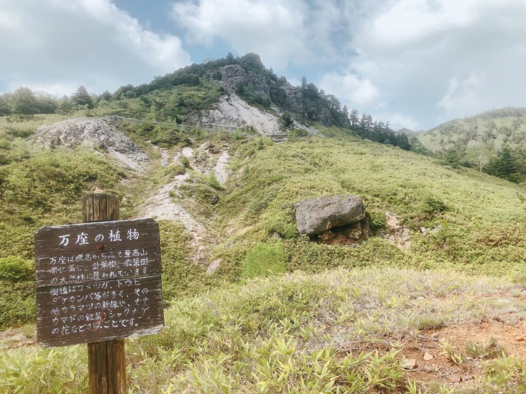 夏になると高山植物も見れるのかな