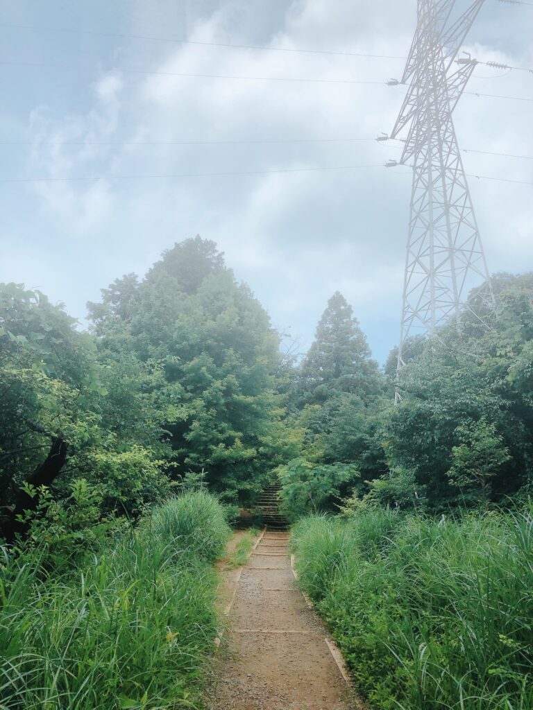 いつもの撮影場所