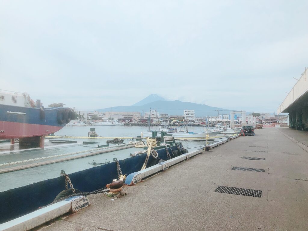 沼津港からの富士山