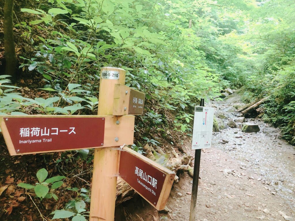 ６号路を登ります