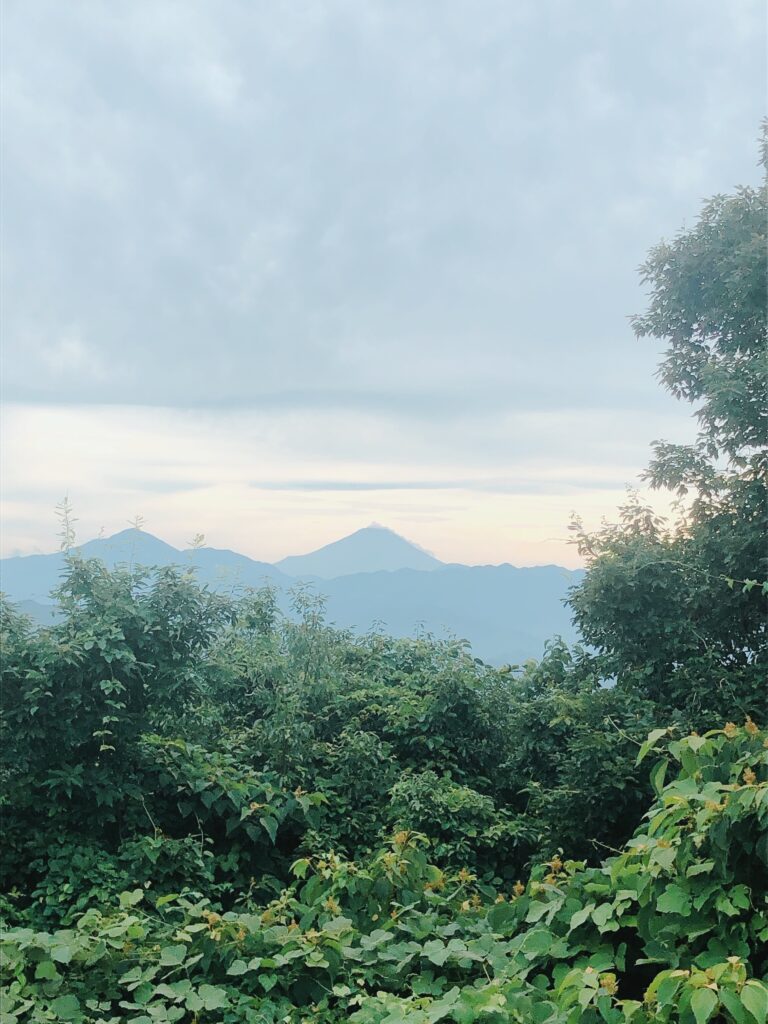 一丁平から富士山が見えました！