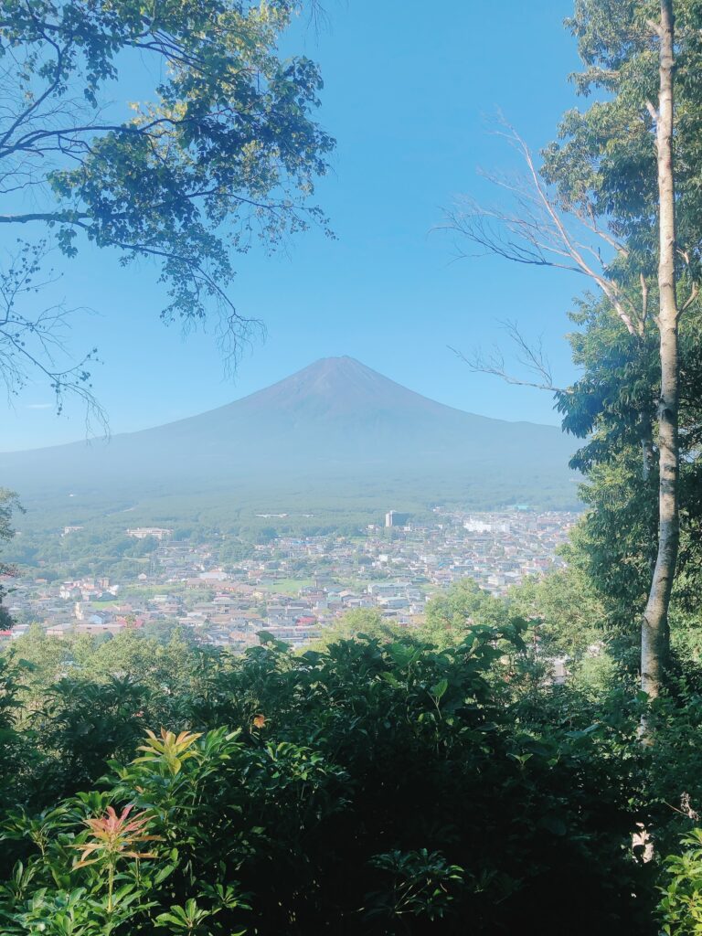 途中の休憩所からの富士山