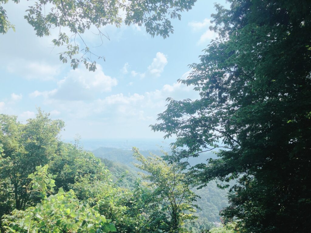 稲荷山の山頂に到着