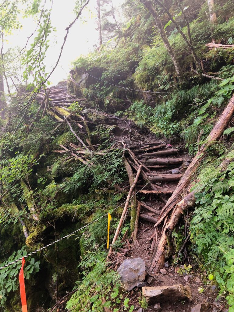 ４合目、５合目付近は足場が悪くなっています