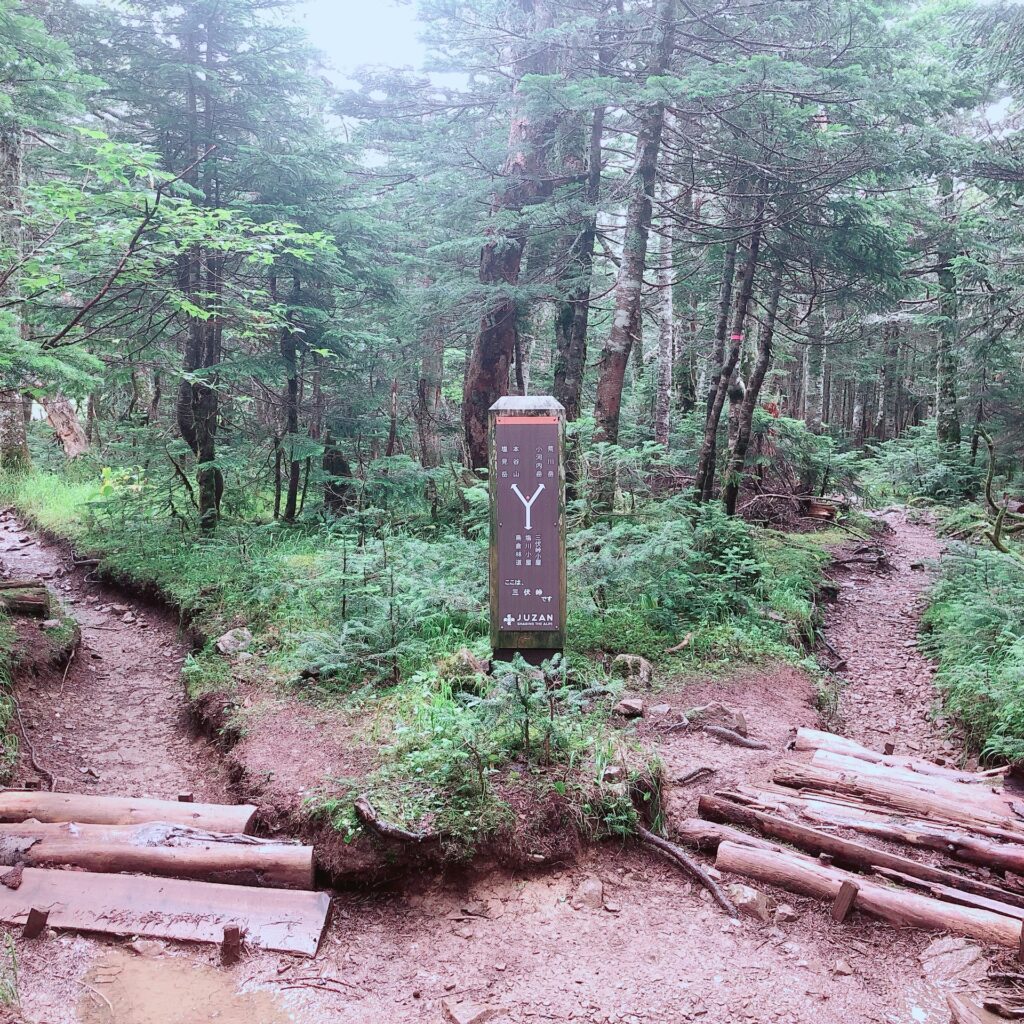 右へ行くと「荒川岳」、左へ行くと「塩見岳」です