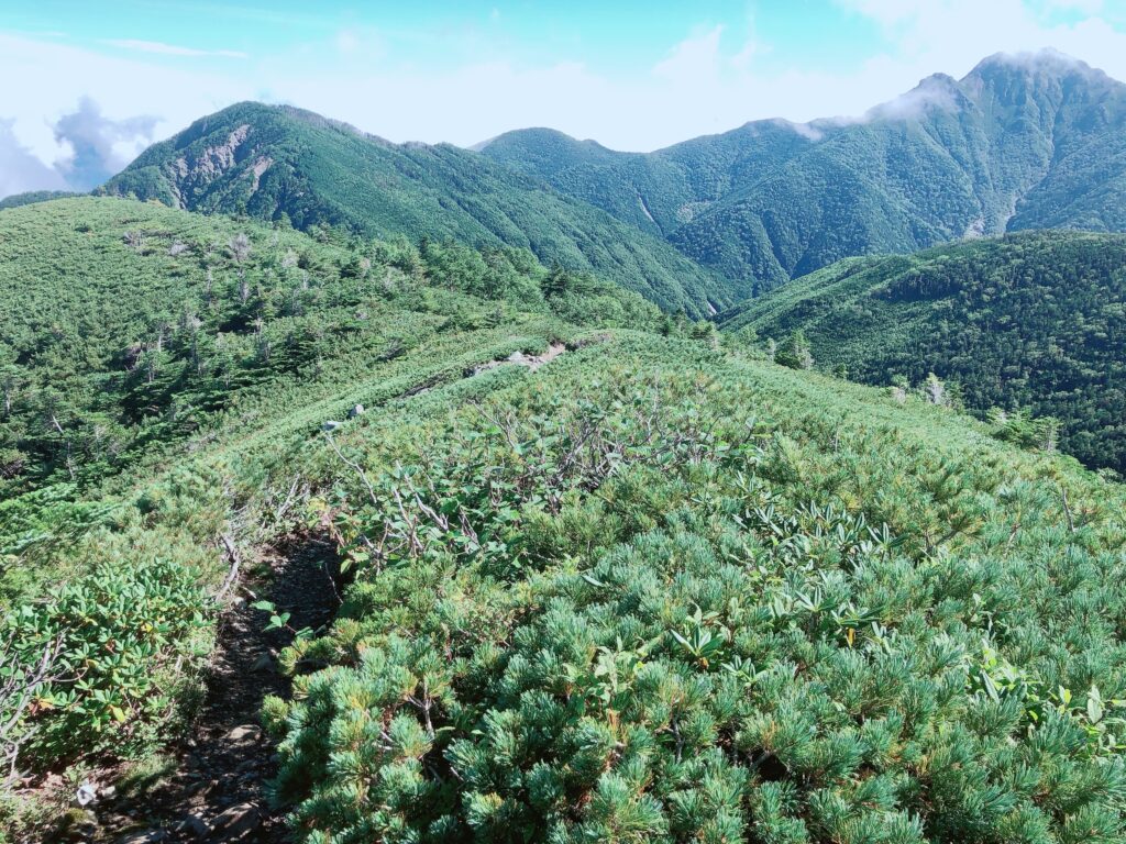 塩見岳までの稜線を進んでいきます（左のピークが本谷山かな）