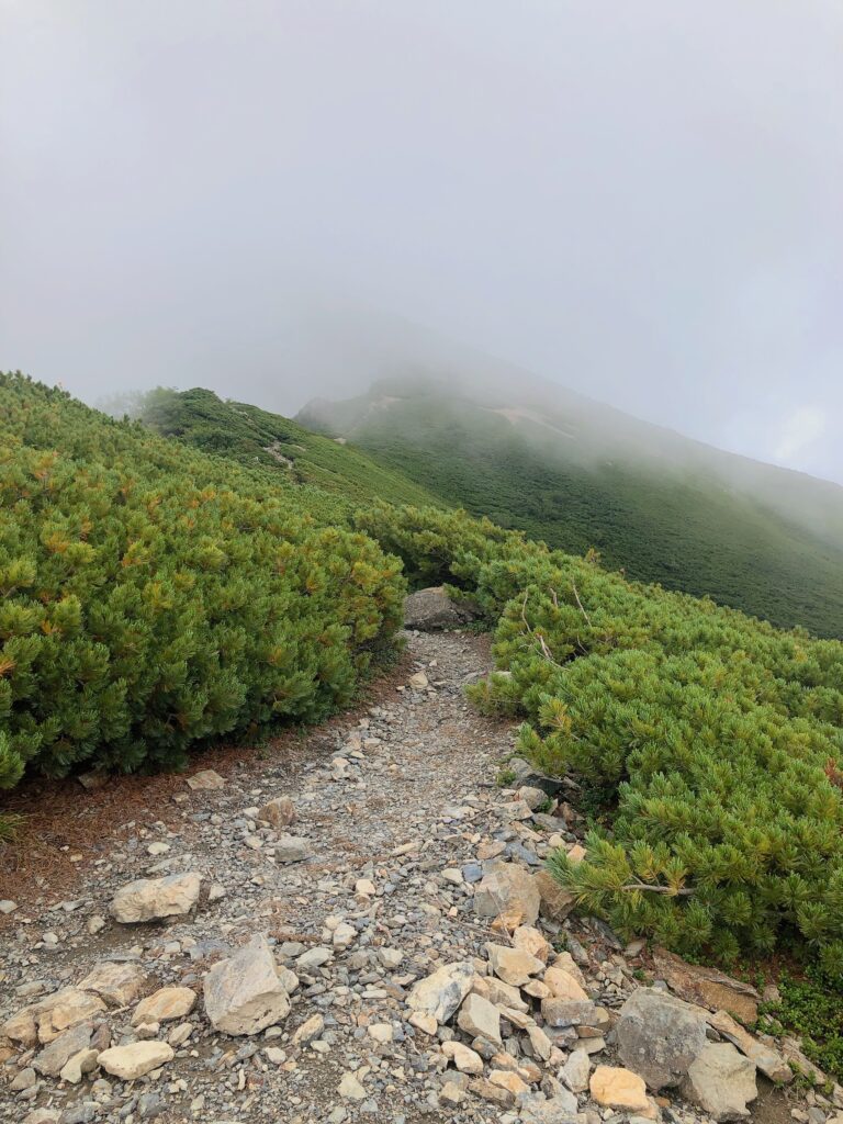 曇ってきてしまいましたが塩見岳へ向かいます