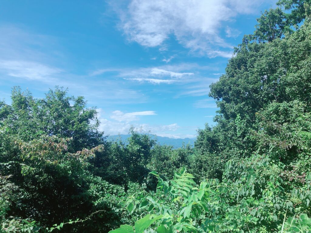 一丁平
最近は富士山が見えないな