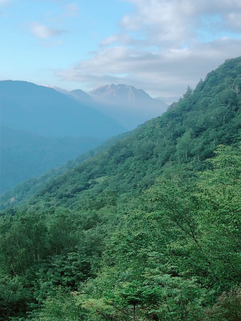 振り返ると見事な焼岳