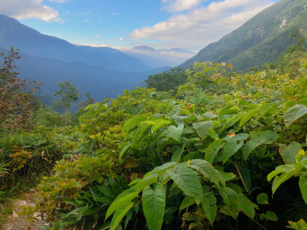 焼岳の奥には乗鞍岳も見えます