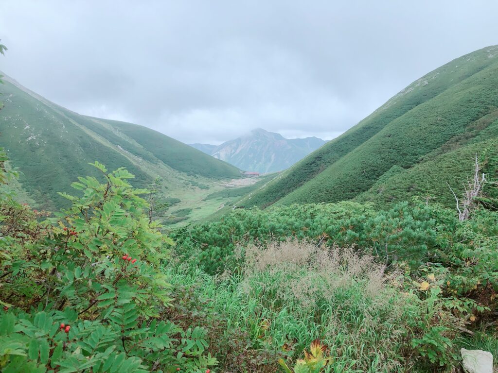 双六小屋が見えました
奥には鷲羽岳も見えます