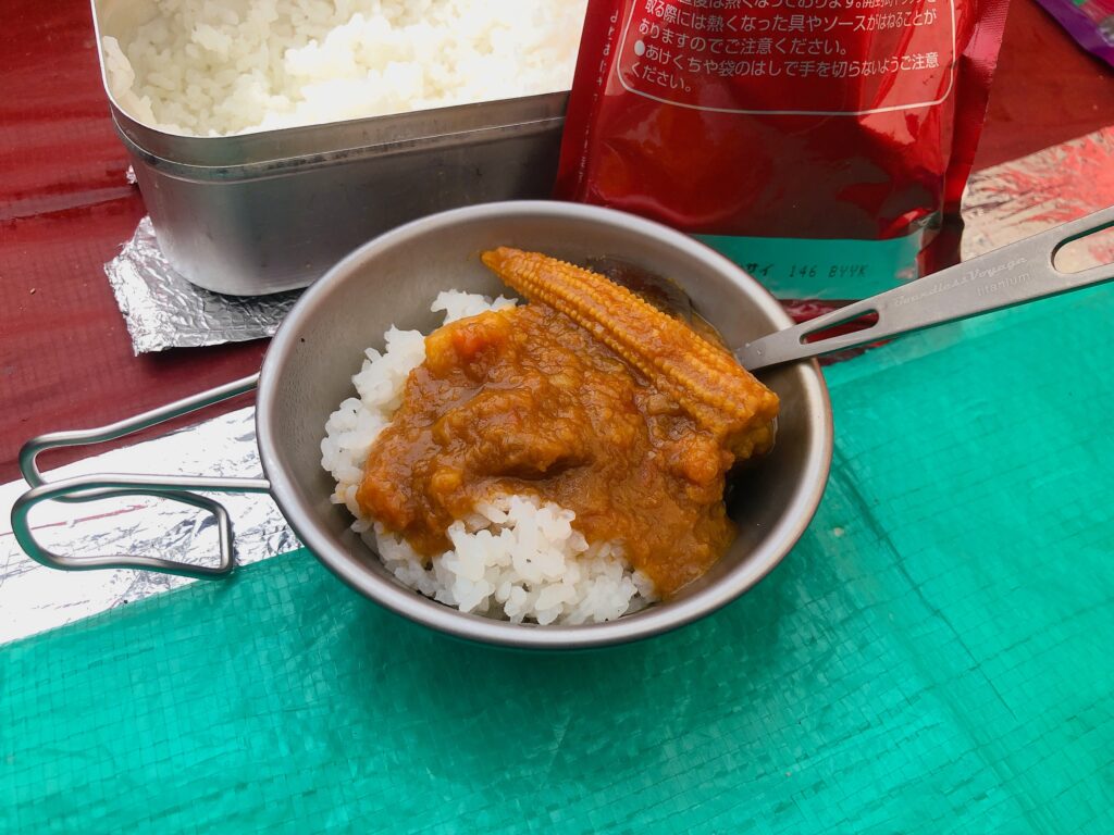 3日目の晩御飯「まるごと野菜カレー」