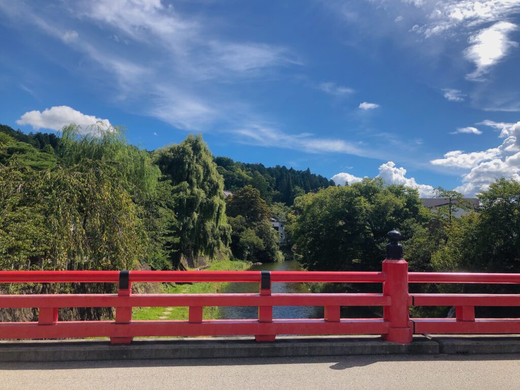 一通り歩いたので高山駅に戻ります
この後は1時間ほどかけて「下呂温泉」へ向かいます