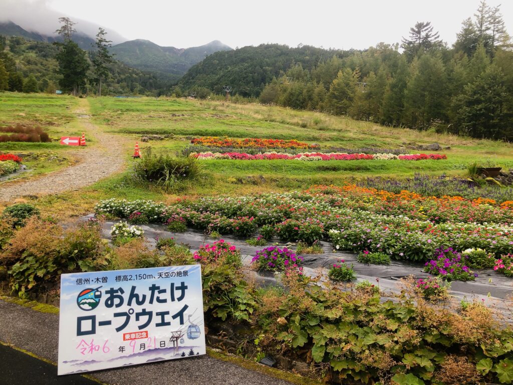 花畑が綺麗です
山頂付近は真っ白です・・・