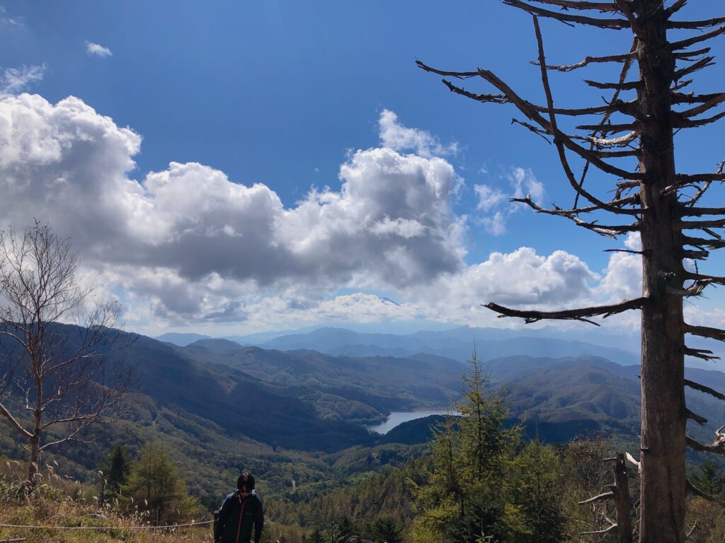 森林限界を越えました
残念ながら富士山は雲に隠れてます