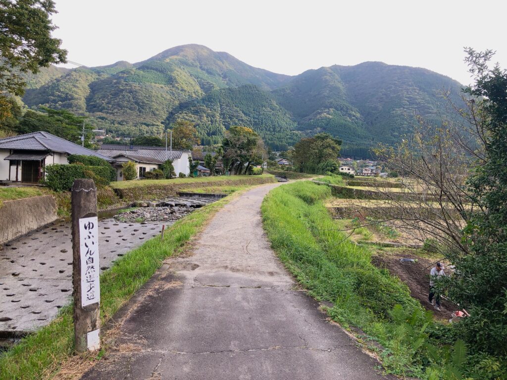 ゆふいん自然遊歩道を歩きます