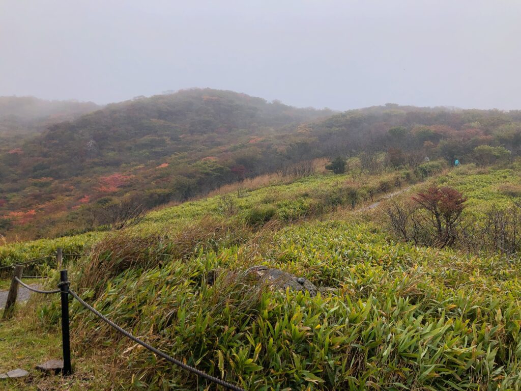 思いのほか紅葉してますね🍁