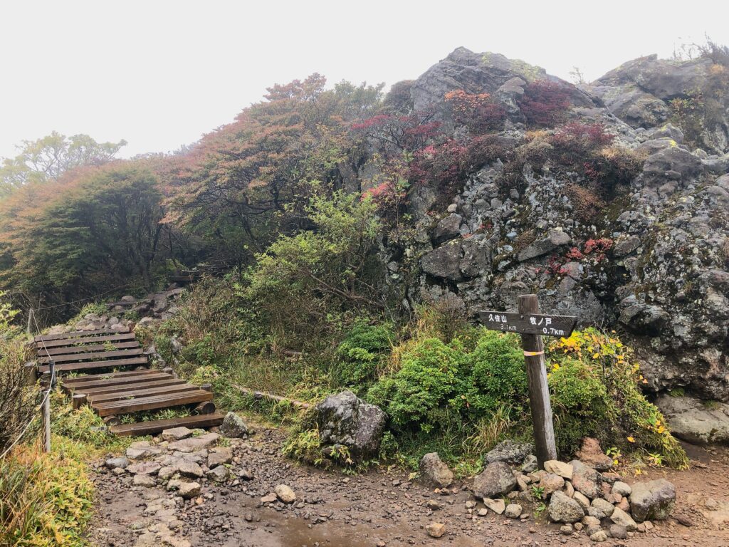 700m進み、残り3100m
ここからは登山道になります