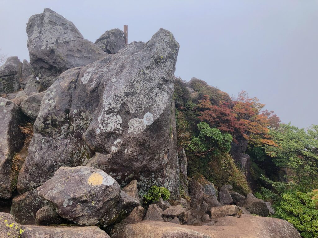 最初のピーク
下山時はここから絶景が見れました