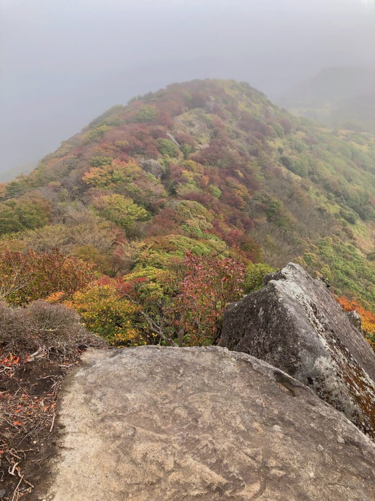 天気がよくなってきました
紅葉が綺麗🍁