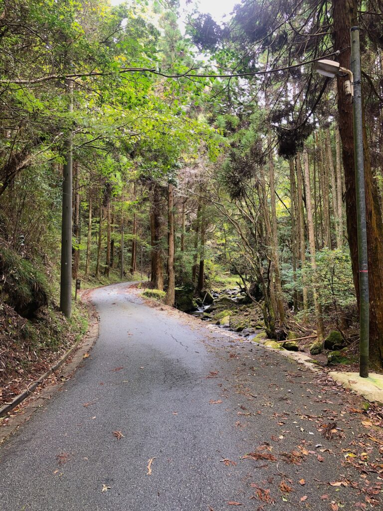 一つ目の「山みず木」まで約30分歩きます