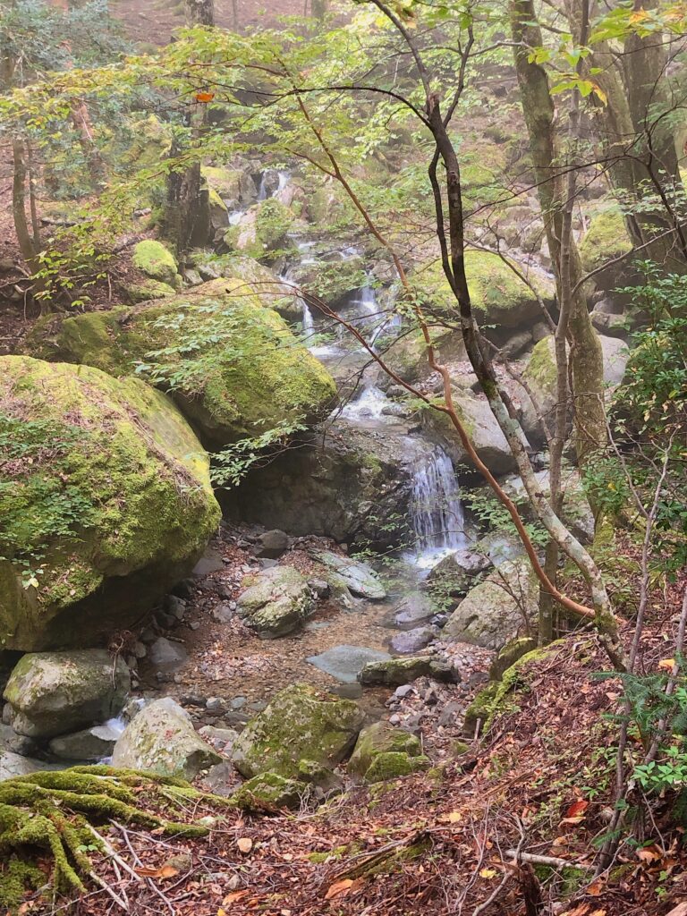 「品格の山」と呼ばれる風景美です！