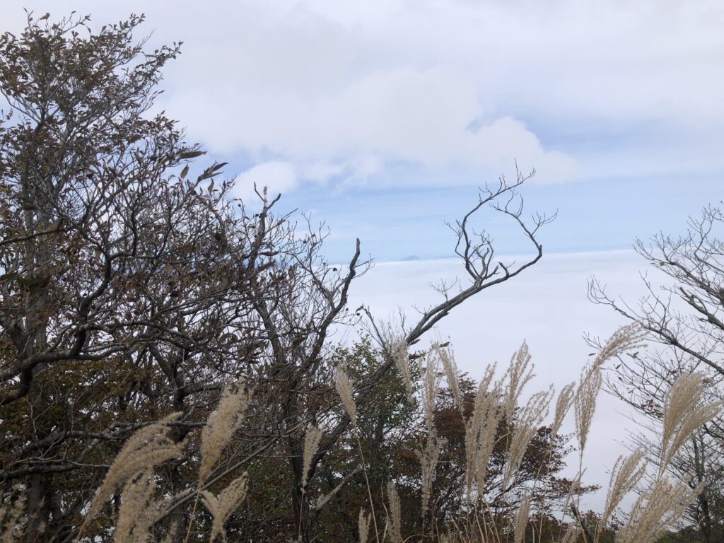 広がる綺麗な雲海の上に由布岳が見えました