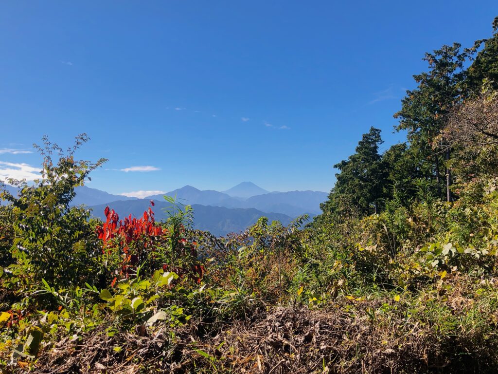 もみじ台からの富士山