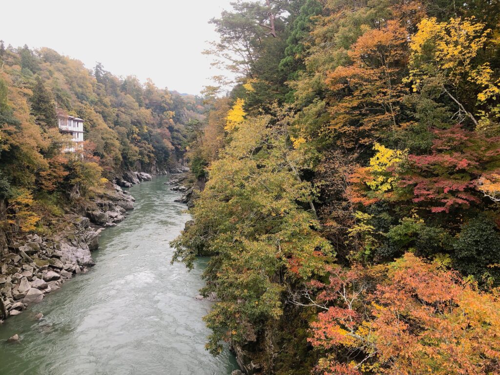 天竜川と紅葉