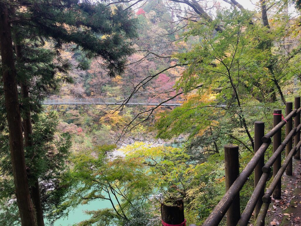 吊り橋の「つつじ橋」が見えました