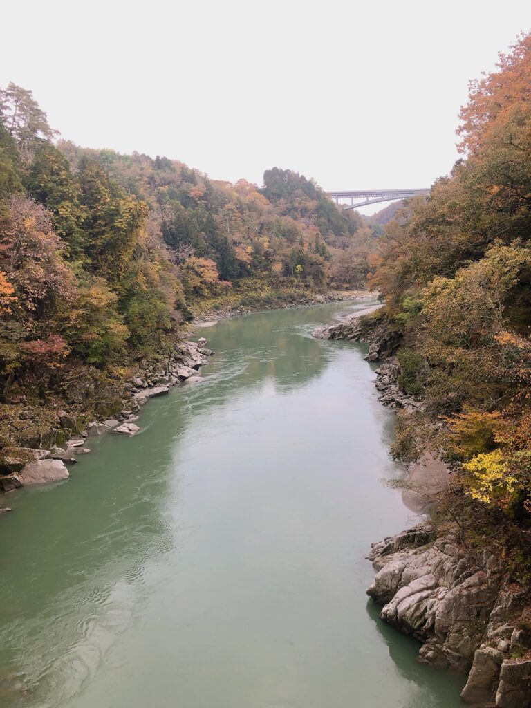 天竜峡大橋が見えます